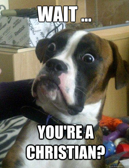 wait ... You're a christian? - wait ... You're a christian?  WTF Dog