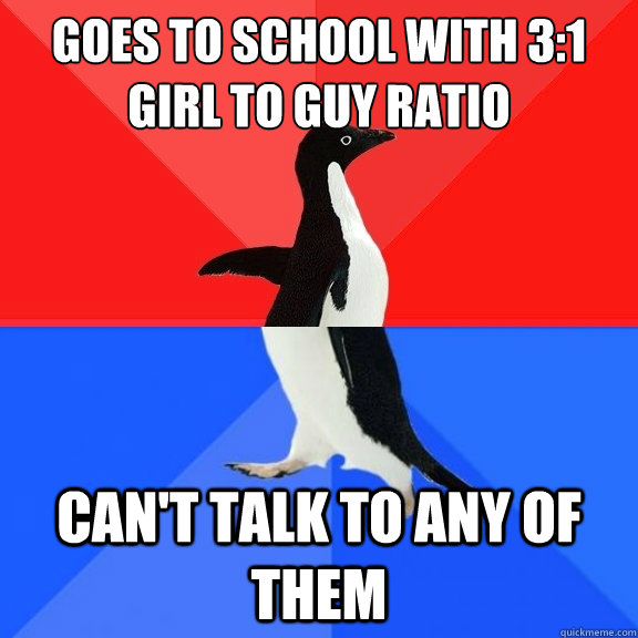goes to school with 3:1 girl to guy ratio can't talk to any of them  Socially Awksome Penguin