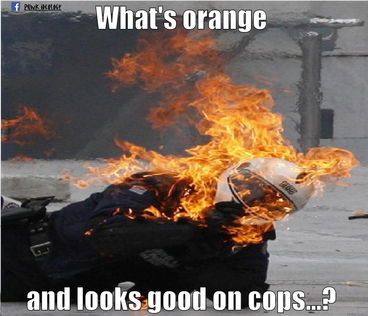 Police on fire - WHAT'S ORANGE AND LOOKS GOOD ON COPS...? Misc