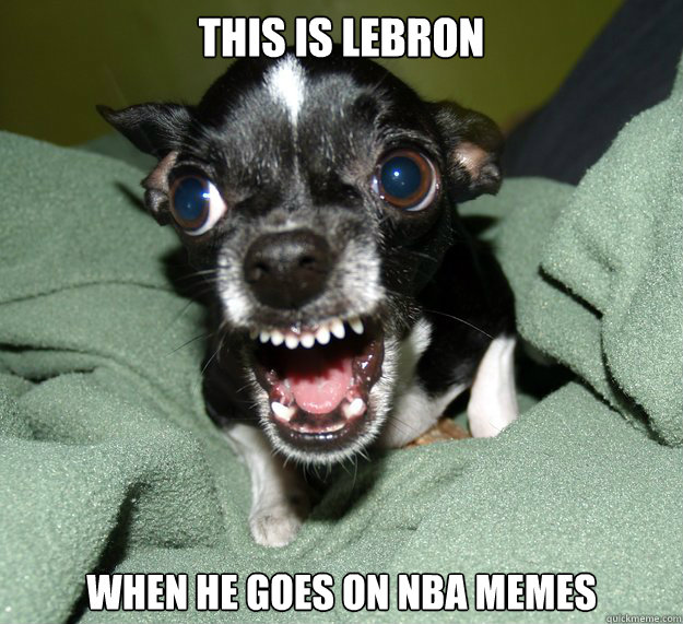THIS IS LEBRON WHEN HE GOES ON NBA MEMES  Chihuahua Logic