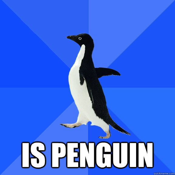  Is penguin  Socially Awkward Penguin