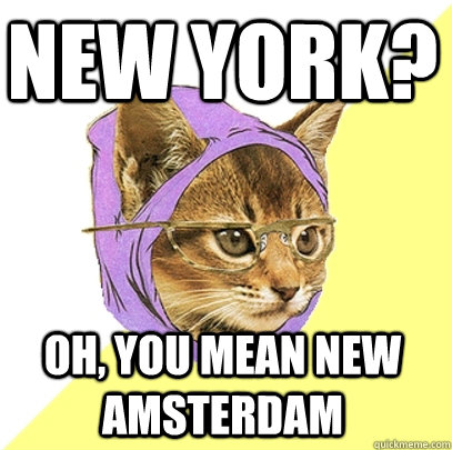 New York? Oh, you mean new amsterdam  Hipster Kitty