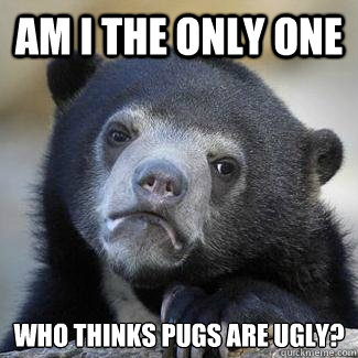 Am I The Only One Who Thinks Pugs are ugly?  Confession Bear