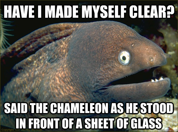 HAVE I MADE MYSELF CLEAR? Said the chameleon as he stood in front of a sheet of glass - HAVE I MADE MYSELF CLEAR? Said the chameleon as he stood in front of a sheet of glass  Bad Joke Eel