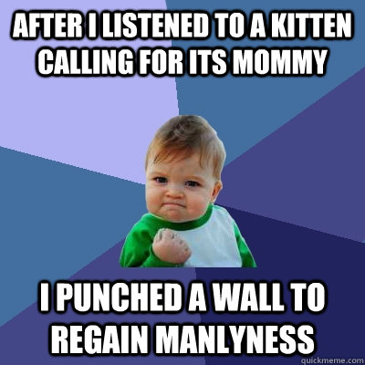 After i listened to a kitten calling for its mommy I punched a wall to regain manlyness  Success Kid