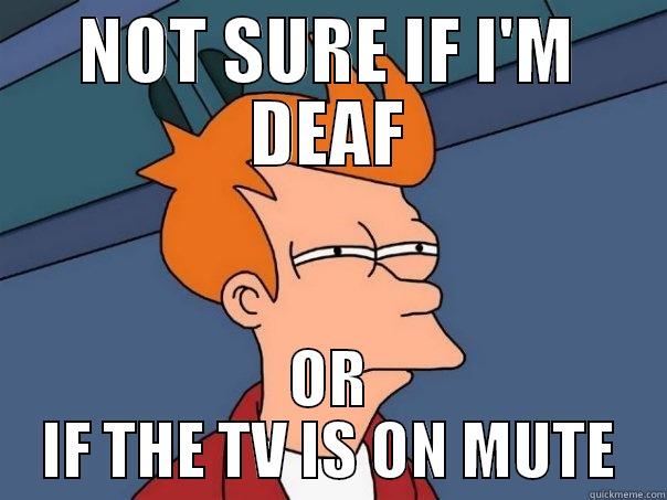 NOT SURE IF I'M DEAF OR IF THE TV IS ON MUTE Futurama Fry