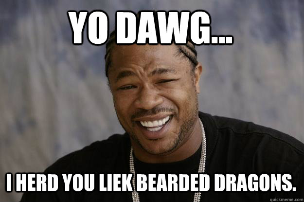 Yo dawg... I herd you liek bearded dragons.  Xzibit meme
