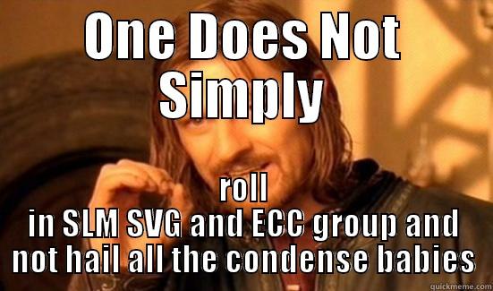 ONE DOES NOT SIMPLY ROLL IN SLM SVG AND ECC GROUP AND NOT HAIL ALL THE CONDENSE BABIES Boromir