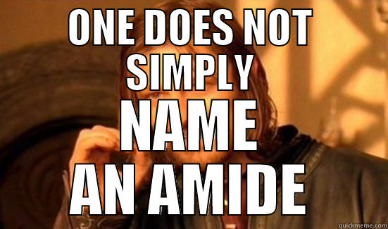 ONE DOES NOT SIMPLY NAME AN AMIDE Boromir