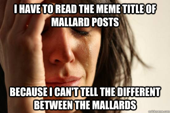 I have to read the meme title of mallard posts because I can't tell the different between the mallards - I have to read the meme title of mallard posts because I can't tell the different between the mallards  First World Problems