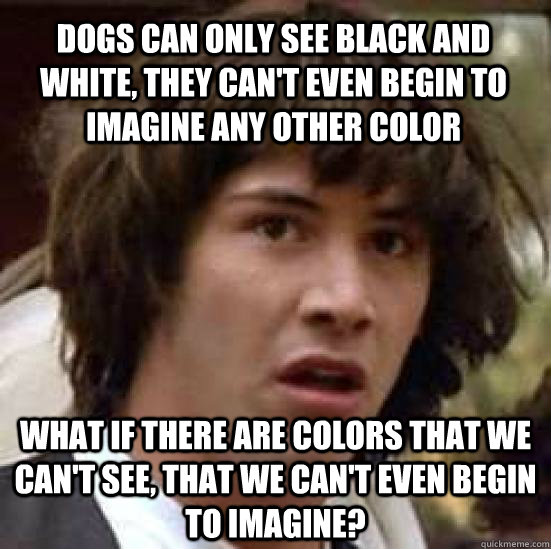 Dogs can only see black and white, they can't even begin to imagine any other color What if there are colors that we can't see, that we can't even begin to imagine? - Dogs can only see black and white, they can't even begin to imagine any other color What if there are colors that we can't see, that we can't even begin to imagine?  conspiracy keanu