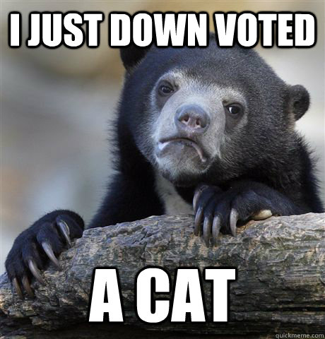 I just down voted a cat - I just down voted a cat  Confession Bear