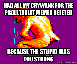 had all my crywank for the proletariat memes deleted   because the stupid was too strong - had all my crywank for the proletariat memes deleted   because the stupid was too strong  Misc