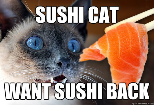 sushi cat want sushi back  Sushi soon