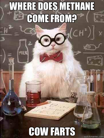 WHERE DOES METHANE COME FROM? COW FARTS - WHERE DOES METHANE COME FROM? COW FARTS  Chemistry Cat
