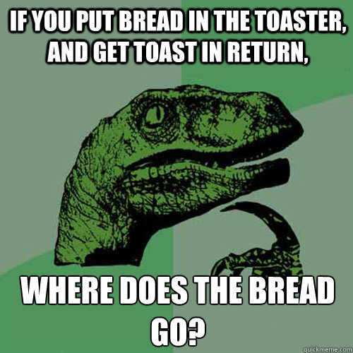 IF YOU PUT BREAD IN THE TOASTER, AND GET TOAST IN RETURN, WHERE DOES THE BREAD GO?  Philosoraptor