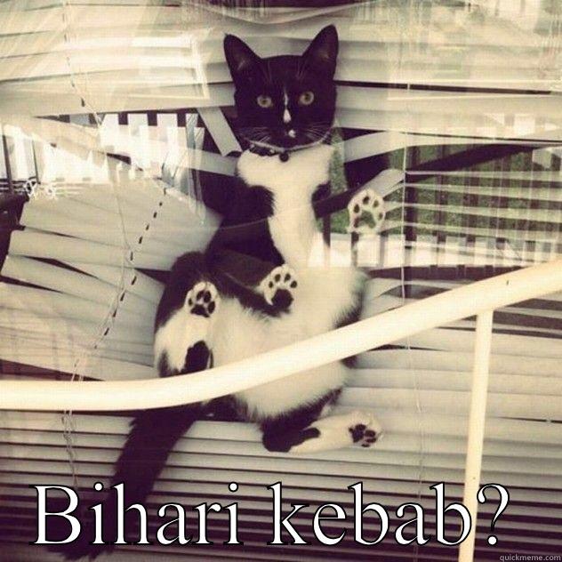  BIHARI KEBAB? College Freshman