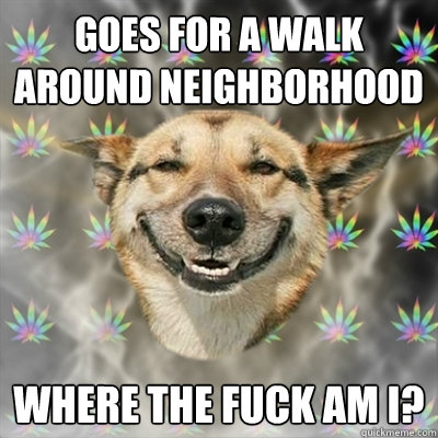 Goes for a walk around neighborhood where the fuck am i?  Stoner Dog