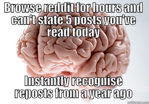BROWSE REDDIT FOR HOURS AND CAN'T STATE 5 POSTS YOU'VE READ TODAY INSTANTLY RECOGNISE REPOSTS FROM A YEAR AGO Scumbag Brain