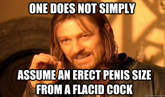 One does not simply assume an erect penis size from a flacid cock - One does not simply assume an erect penis size from a flacid cock  Boromir