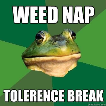 Weed nap Tolerence break  Foul Bachelor Frog
