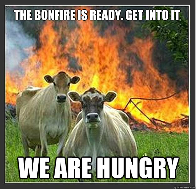 the bonfire is ready. get into it we are hungry  Evil cows