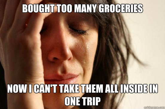 bought too many groceries now I can't take them all inside in one trip  First World Problems