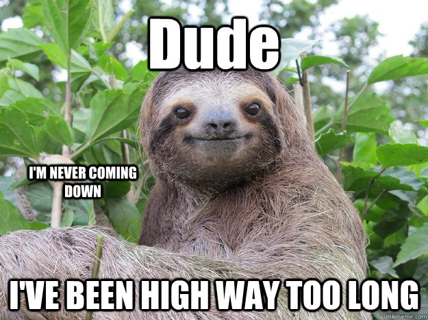 Dude I'VE BEEN HIGH WAY TOO LONG I'M NEVER COMING DOWN  Stoned Sloth