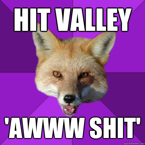 Hit Valley 'Awww shit'  Forensics Fox