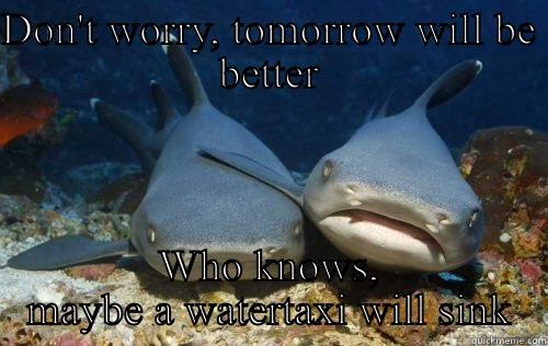 DON'T WORRY, TOMORROW WILL BE BETTER WHO KNOWS, MAYBE A WATERTAXI WILL SINK Compassionate Shark Friend