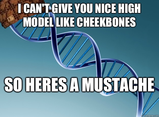 I can't give you nice high model like cheekbones  So heres a mustache   Scumbag Genetics