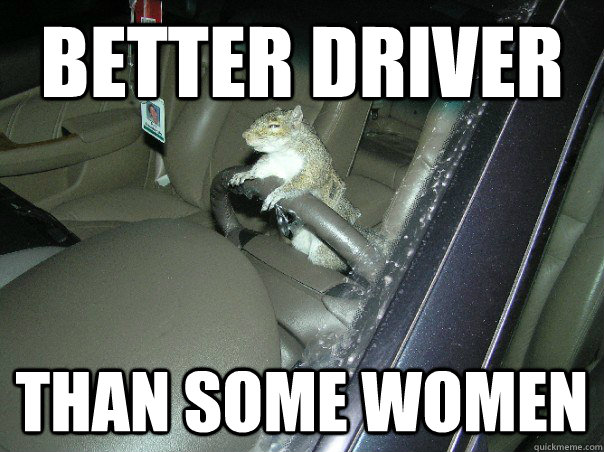better driver than some women  