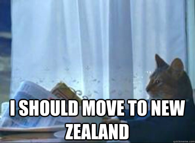 I should move to New Zealand   I should buy a boat cat