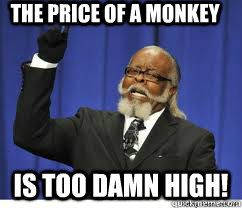 The price of a monkey is too damn high!  to damn high
