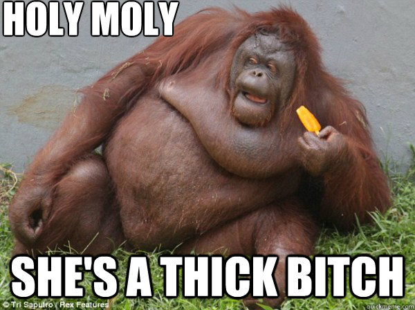HOLY moly she's a thick bitch  