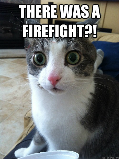there was a firefight?!   Sudden Clarity Cat
