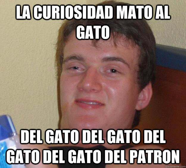 LA CURIOSIDAD MATO AL GATO DEL GATO DEL GATO DEL GATO DEL GATO DEL PATRON - LA CURIOSIDAD MATO AL GATO DEL GATO DEL GATO DEL GATO DEL GATO DEL PATRON  10 Guy