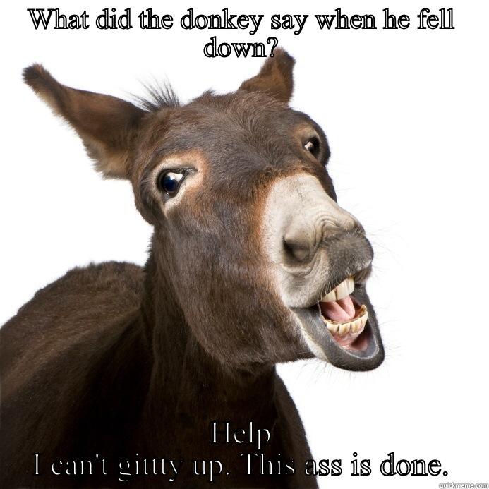 WHAT DID THE DONKEY SAY WHEN HE FELL DOWN? HELP I CAN'T GITTTY UP. THIS ASS IS DONE. Misc