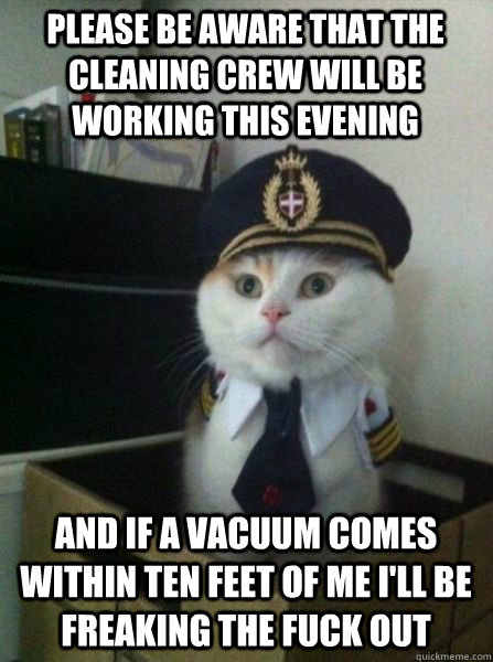 Please be aware that the cleaning crew will be working this evening And if a vacuum comes within ten feet of me I'll be freaking the fuck out  Captain kitteh