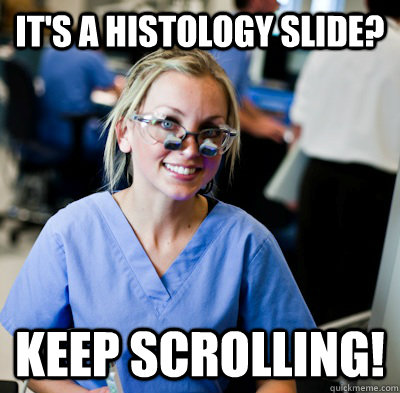It's a histology slide? keep scrolling!  overworked dental student