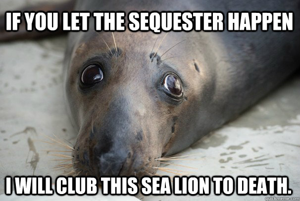 If you let the sequester happen I will club this sea lion to death.   Sequester Sea Lion