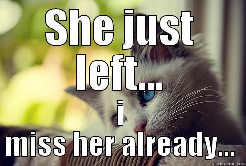 SHE JUST LEFT... I MISS HER ALREADY... First World Problems Cat