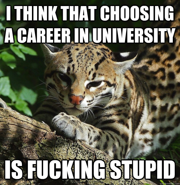 I think that choosing a career in university is fucking stupid  