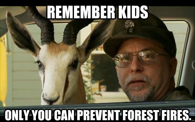 Remember kids Only you can prevent forest fires.  Noooope Chuck Testa
