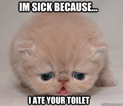 im sick because... i ate your toilet  