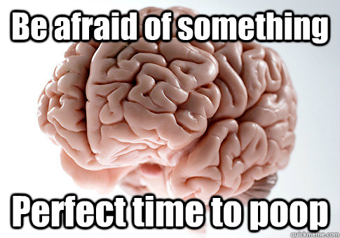 Be afraid of something Perfect time to poop   Scumbag Brain
