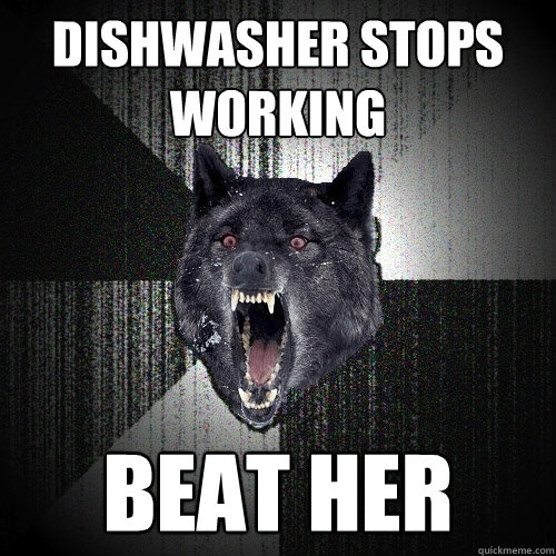 Dishwasher stops working beat her   Insanity Wolf