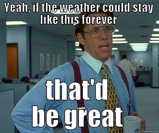 YEAH, IF THE WEATHER COULD STAY LIKE THIS FOREVER THAT'D BE GREAT Office Space Lumbergh