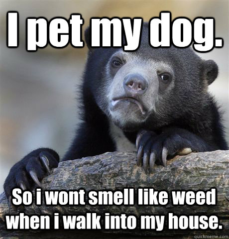 I pet my dog. So i wont smell like weed when i walk into my house.  Confession Bear