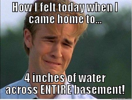 HOW I FELT TODAY WHEN I CAME HOME TO... 4 INCHES OF WATER ACROSS ENTIRE BASEMENT! 1990s Problems